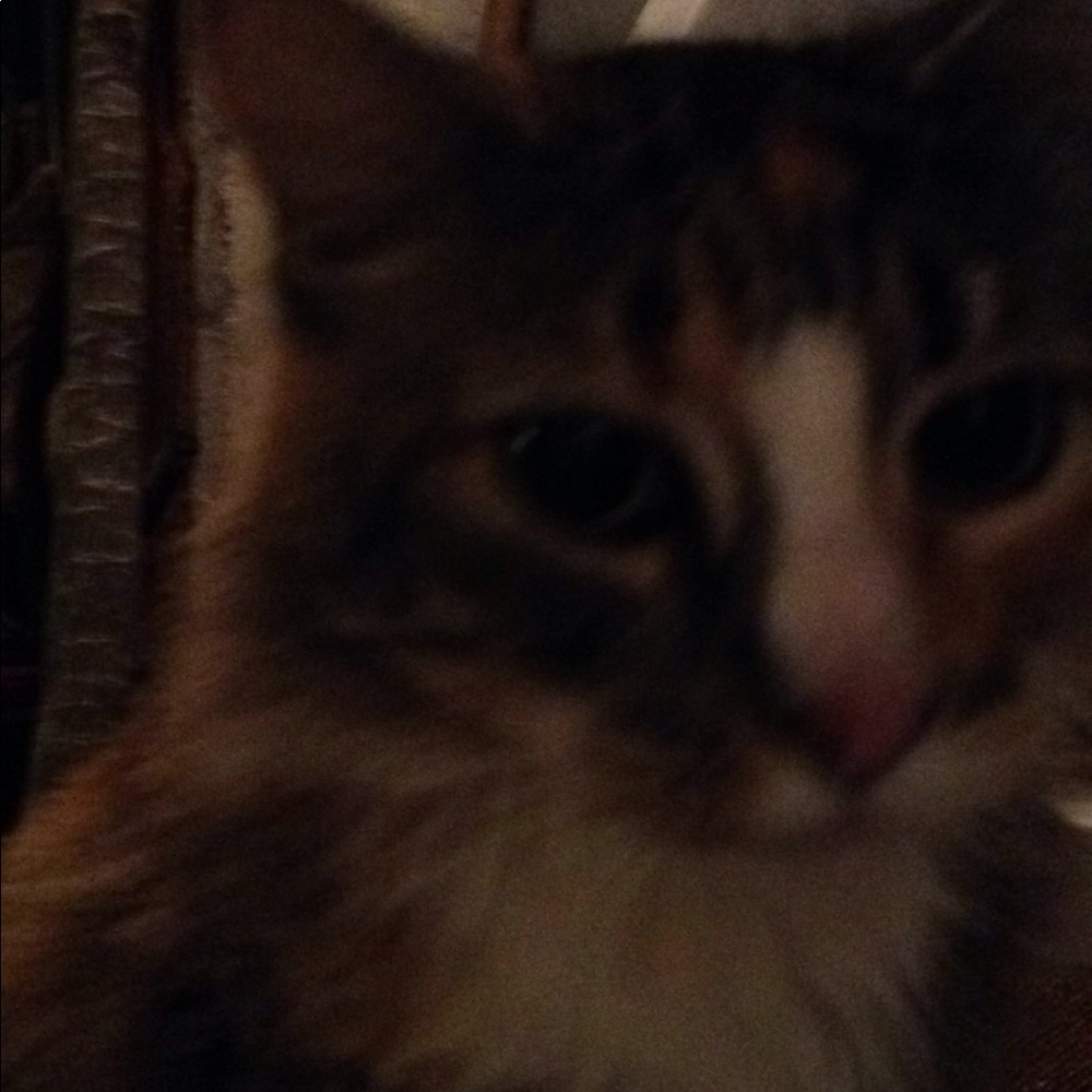 Meet your Posher, Cathi